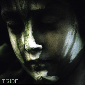 Tribe